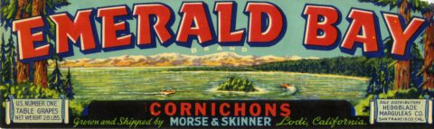 Emerald Bay